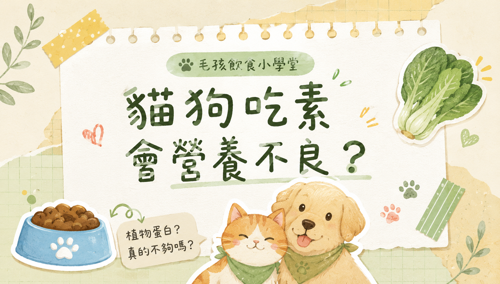 毛孩吃素，真的OK嗎？？