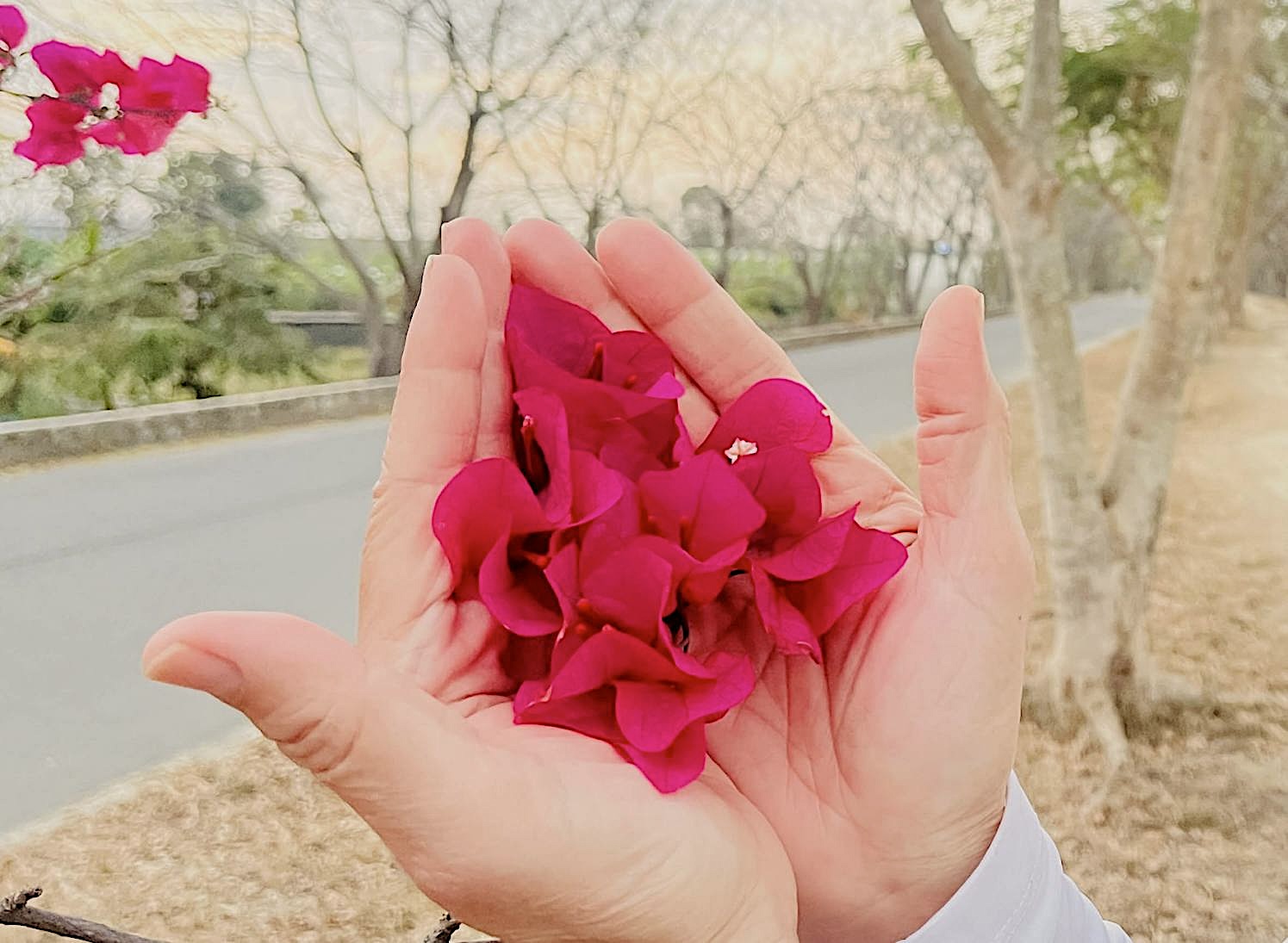 府城蔬適生活圈