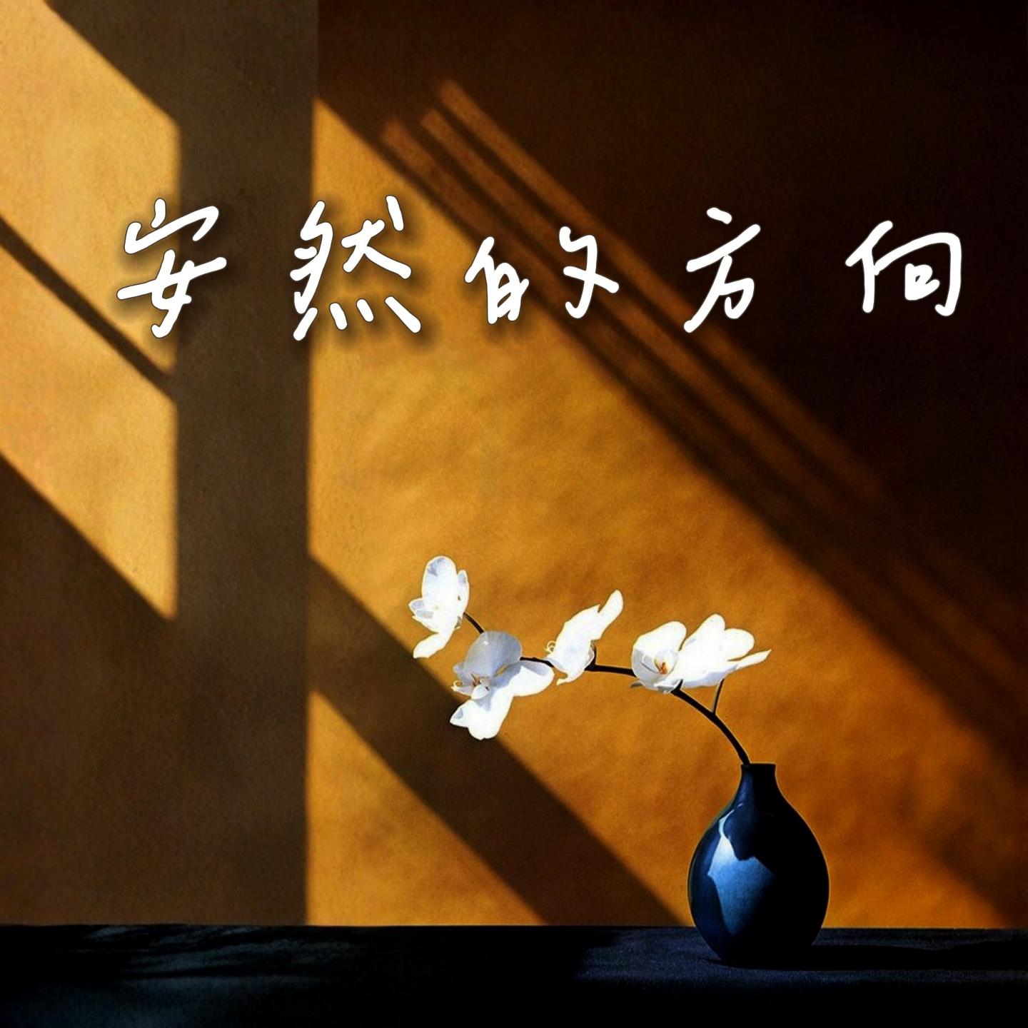 《安然的方向》