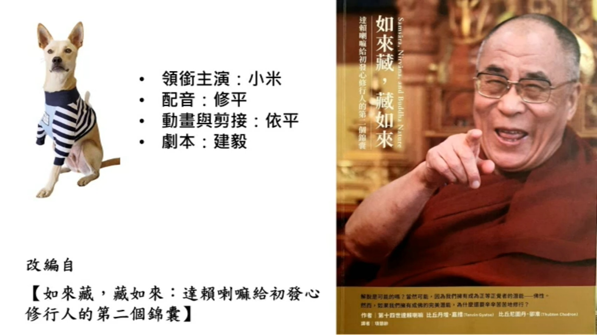 小米的十二因緣-十二緣起的實際運作